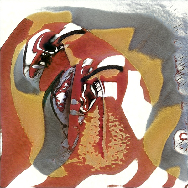 2564 8K Digital Download