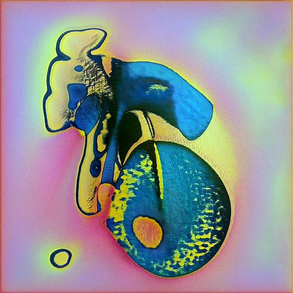 3914 8K Digital Download