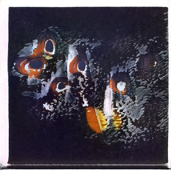 2567 8K Digital Download