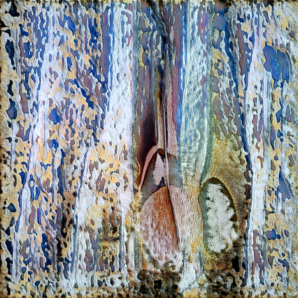 3482 8K Digital Download