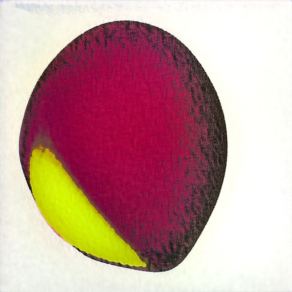 1739 8K Digital Download