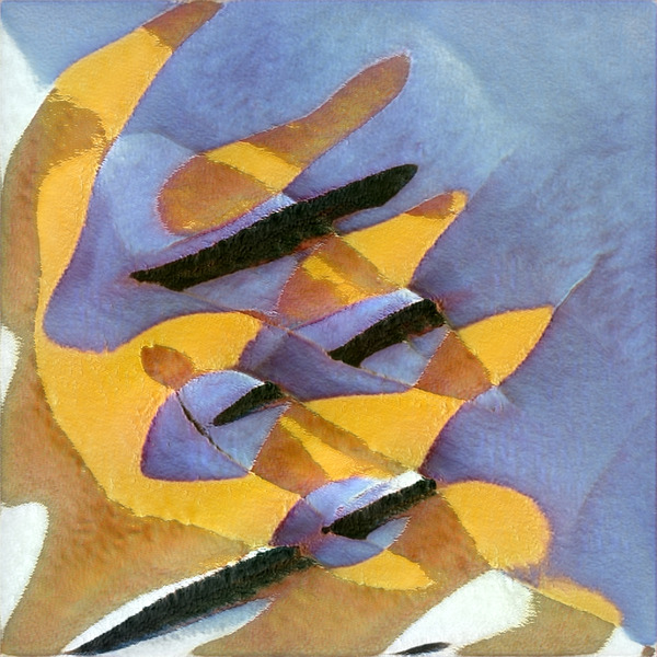 2581 8K Digital Download