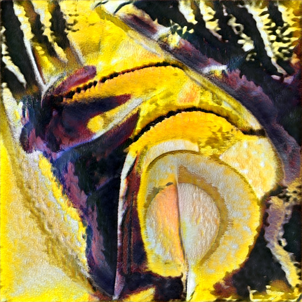 1100 8K Digital Download