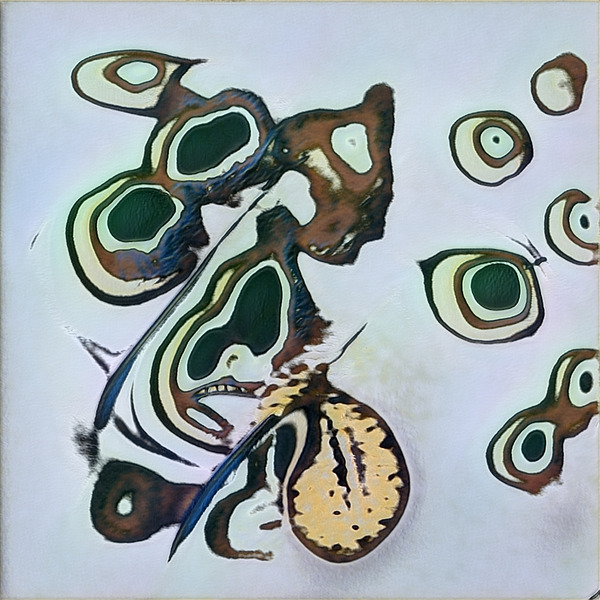 3157 8K Digital Download