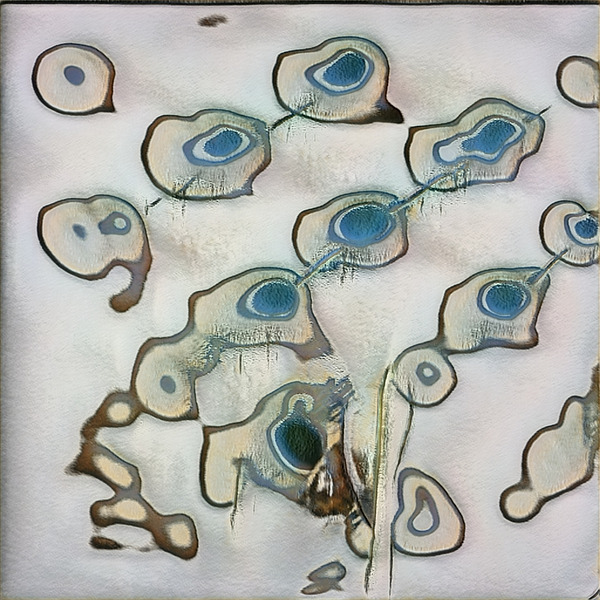 1400 8K Digital Download