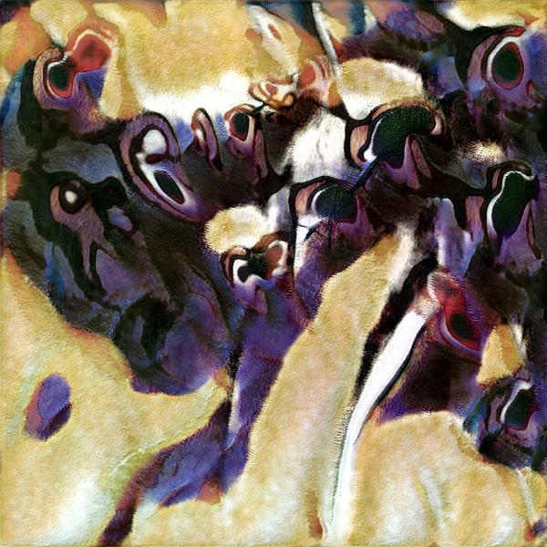 1621 8K Digital Download