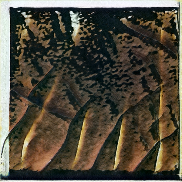 145 8K Digital Download