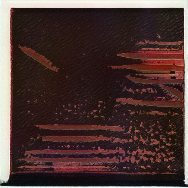 2643 8K Digital Download