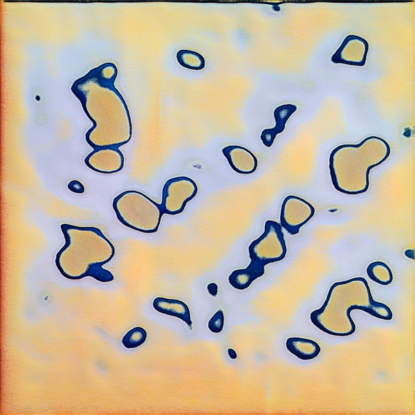 3143 8K Digital Download