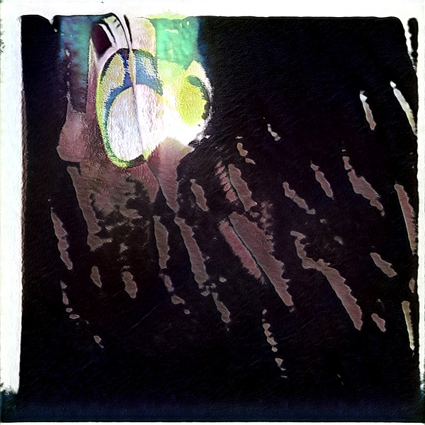 2663 8K Digital Download