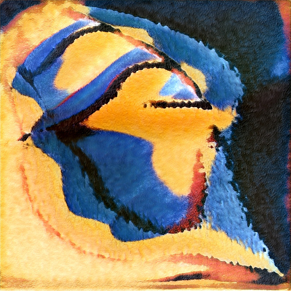 2892 8K Digital Download