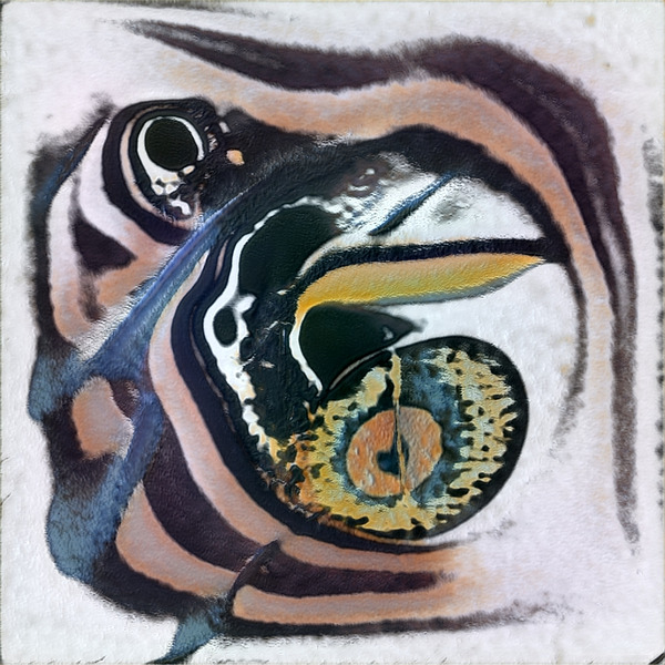 2685 8K Digital Download