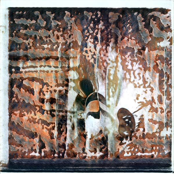 1422 8K Digital Download