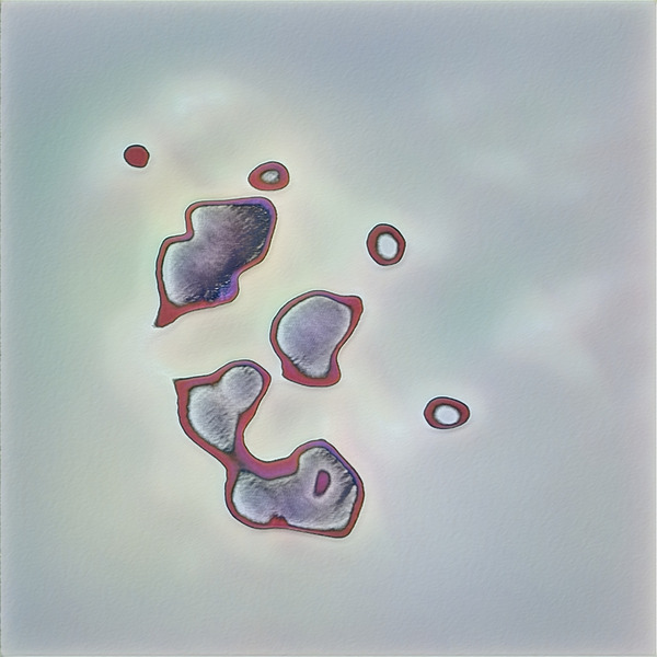 1762 8K Digital Download