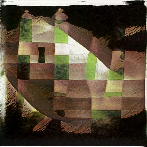 590 8K Digital Download