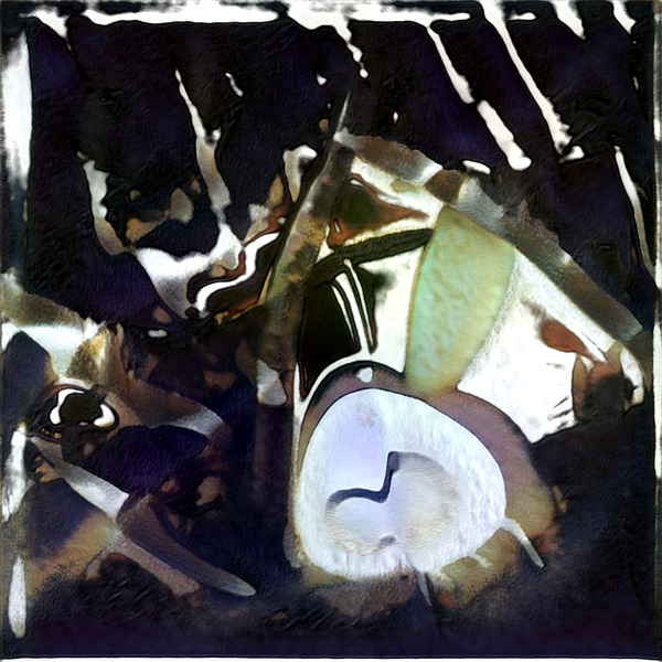 2347 8K Digital Download