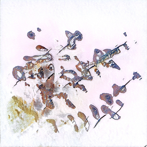 1747 8K Digital Download