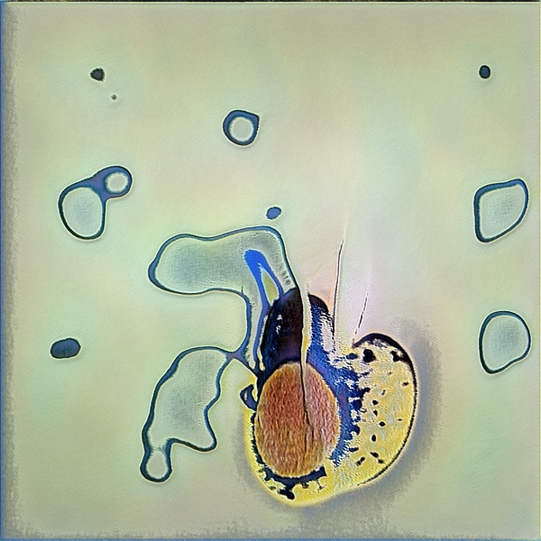 1220 8K Digital Download