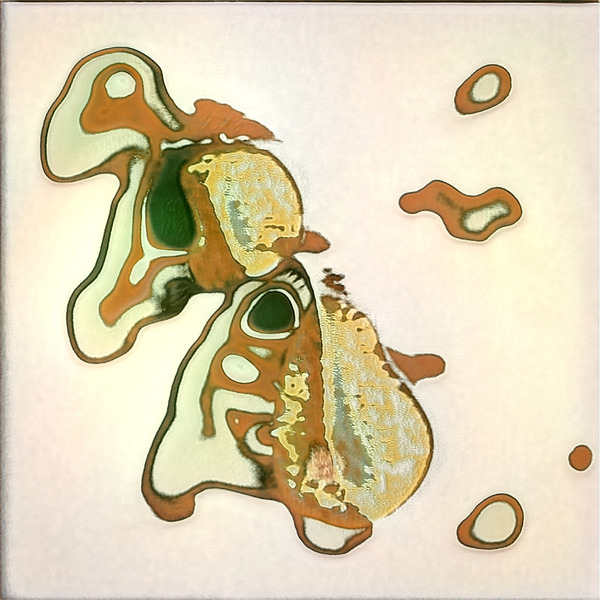 3240 8K Digital Download