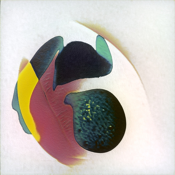 240 8K Digital Download