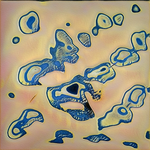 538 8K Digital Download