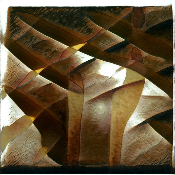 382 8K Digital Download