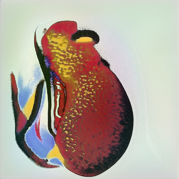 1905 8K Digital Download