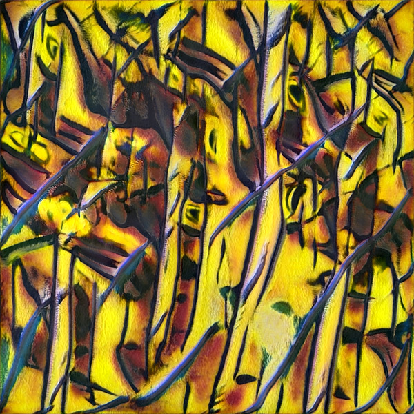 1073 8K Digital Download