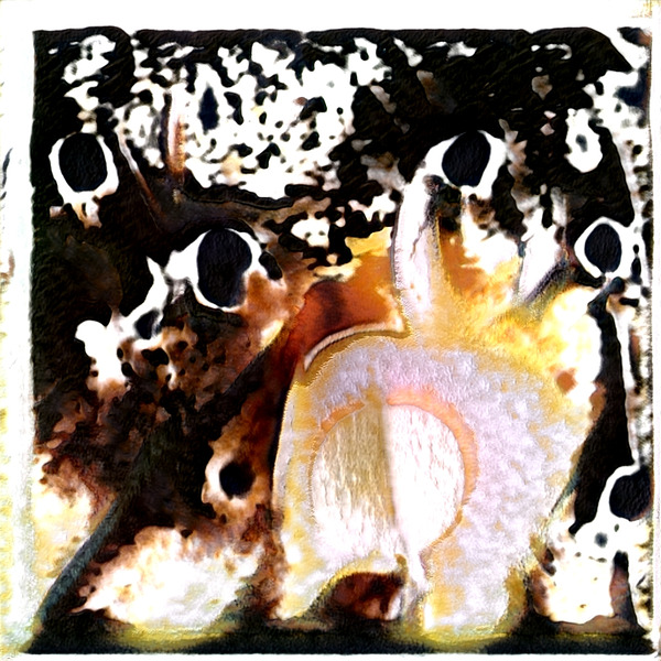 2317 8K Digital Download