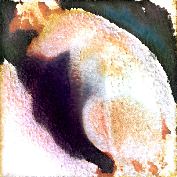 1719 8K Digital Download