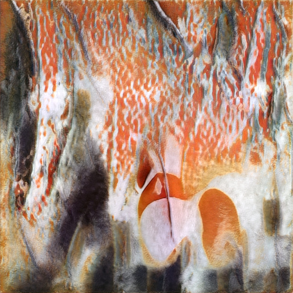 3428 8K Digital Download