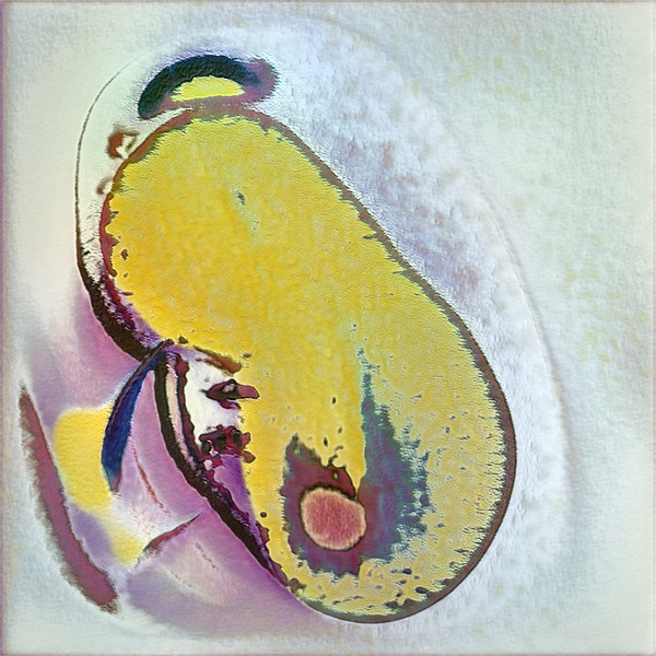 2354 8K Digital Download