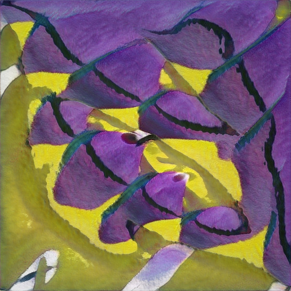 1437 8K Digital Download