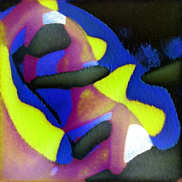 1195 8K Digital Download