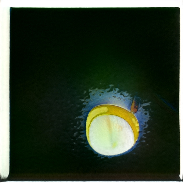 3184 8K Digital Download