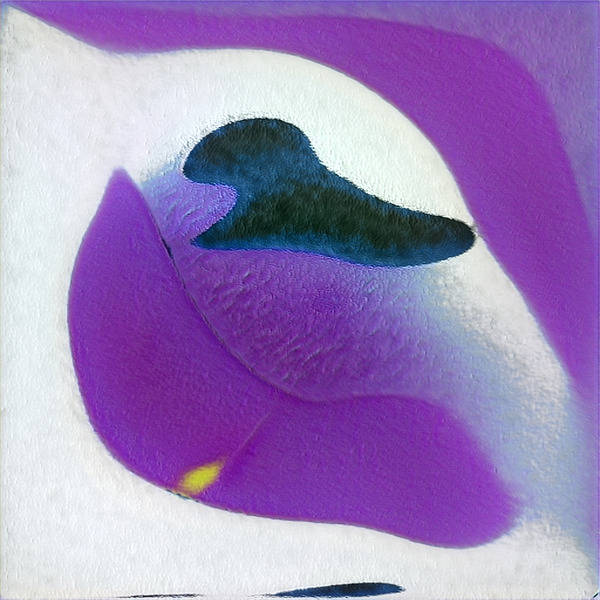 1877 8K Digital Download