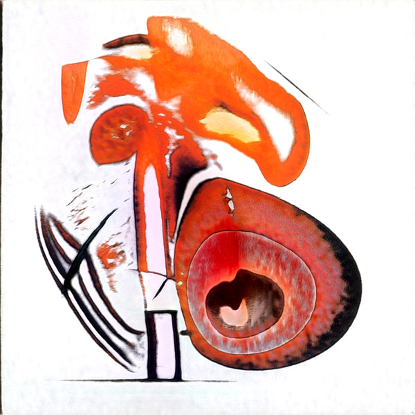 3681 8K Digital Download