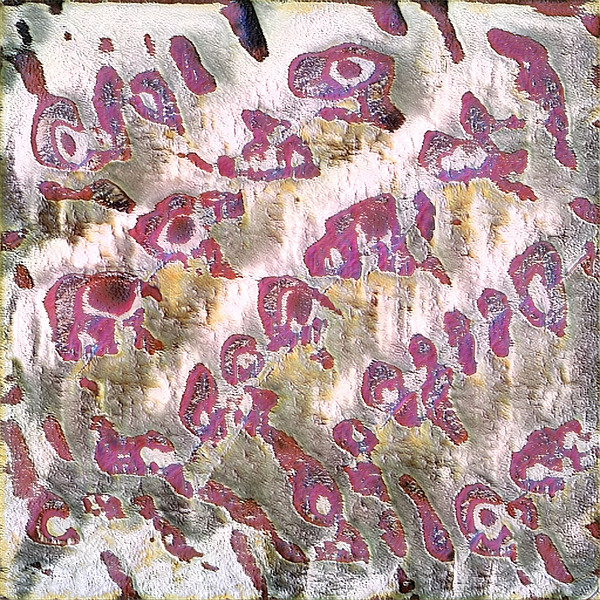 2639 8K Digital Download