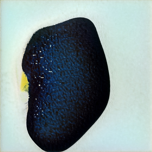 2369 8K Digital Download