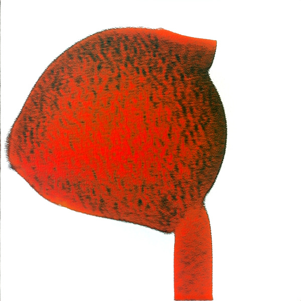 2215 8K Digital Download