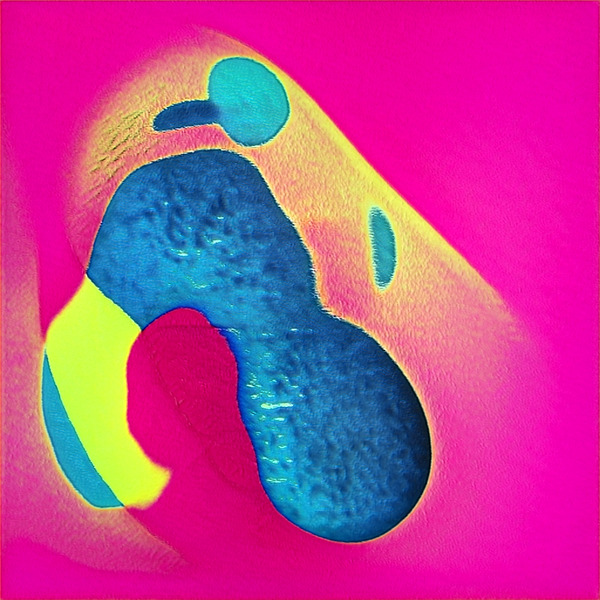 1443 8K Digital Download