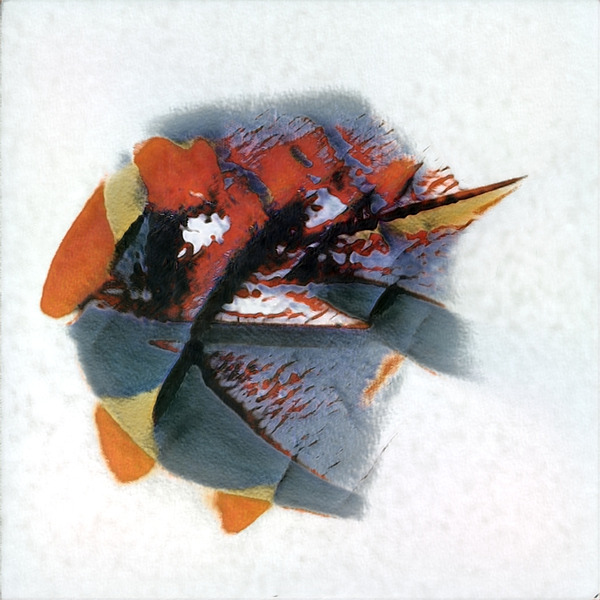 3245 8K Digital Download