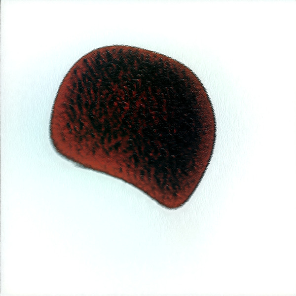 3869 8K Digital Download