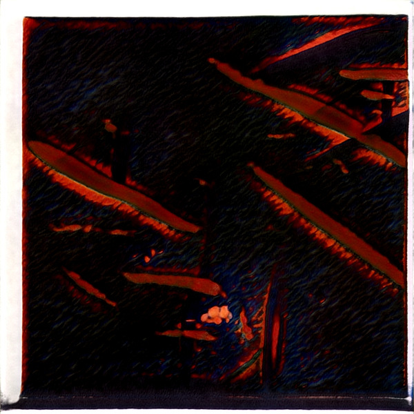 1669 8K Digital Download