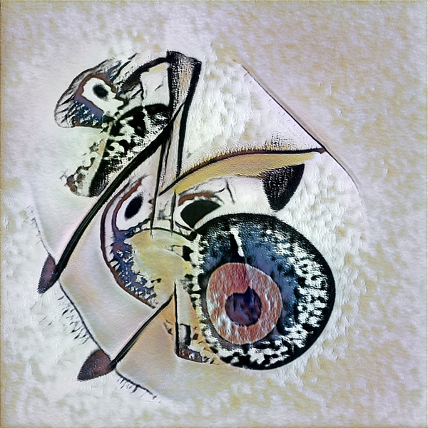 366 8K Digital Download