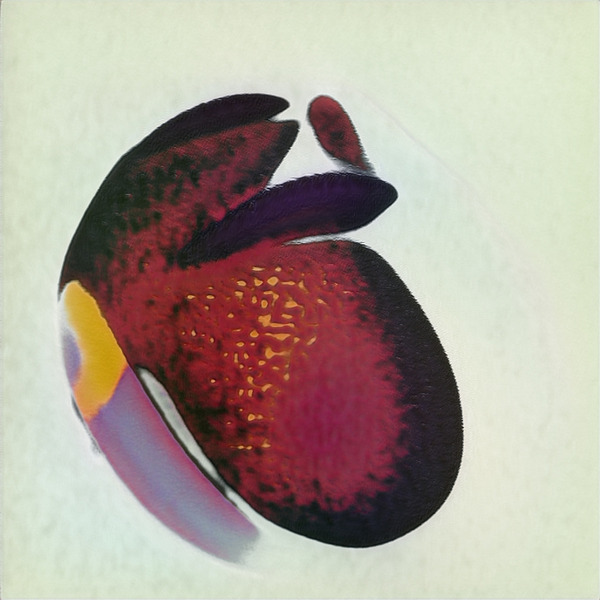 3093 8K Digital Download