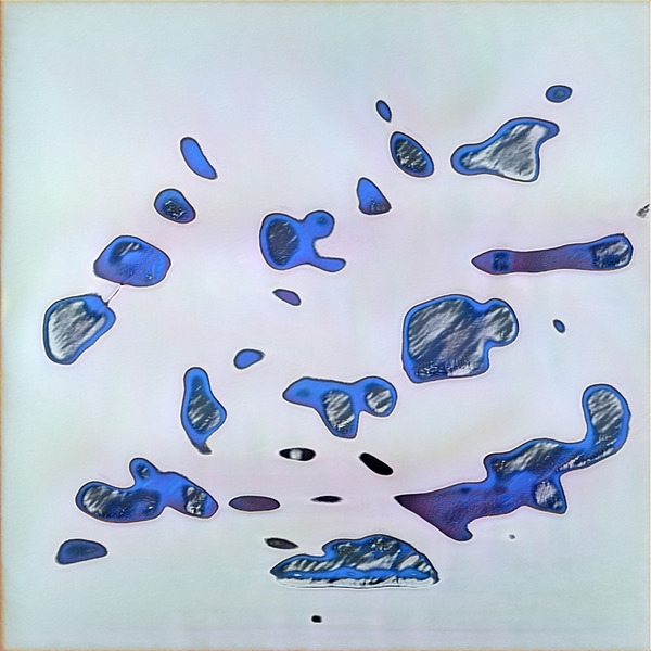 1703 8K Digital Download