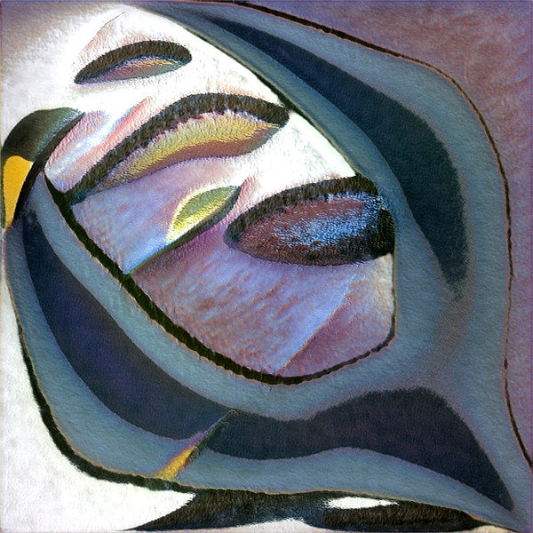 437 8K Digital Download