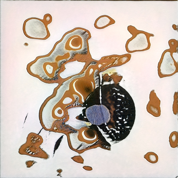 1298 8K Digital Download