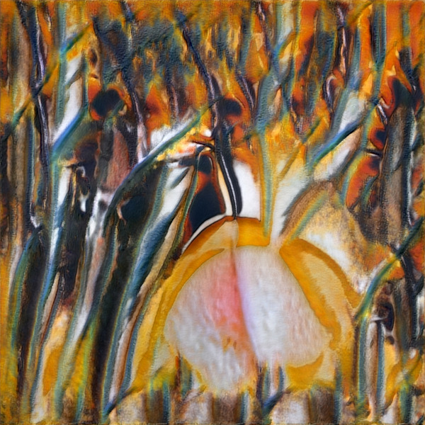 2847 8K Digital Download